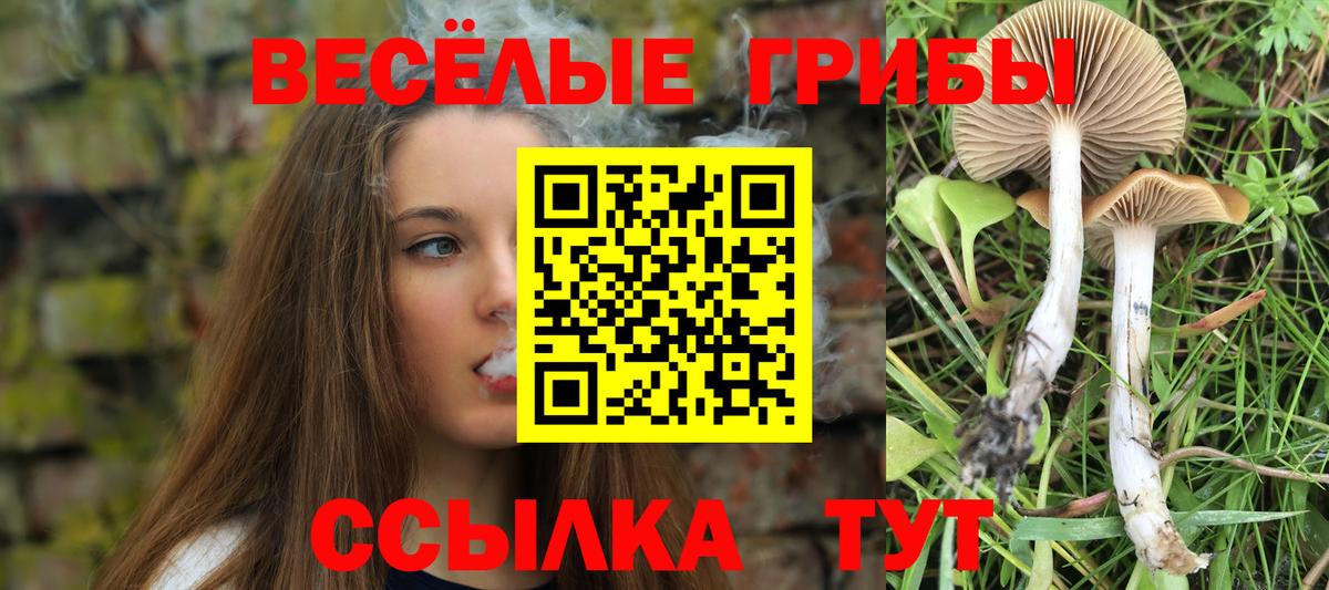 Галлюциногенные грибы Psilocybine cubensis  Вход с VPN  Галлюциногенные грибы Magic Shrooms  хочу   Каменск-Уральский 
