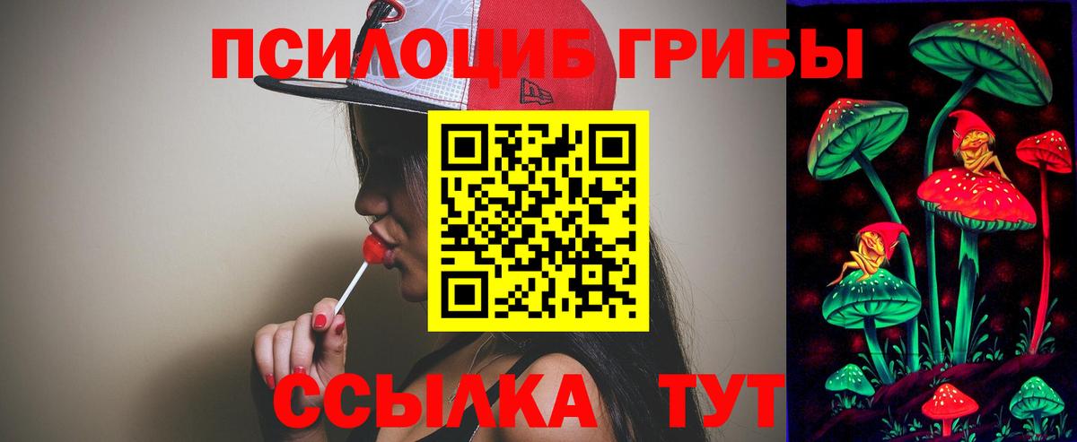 Галлюциногенные грибы Psilocybe Каменск-Уральский